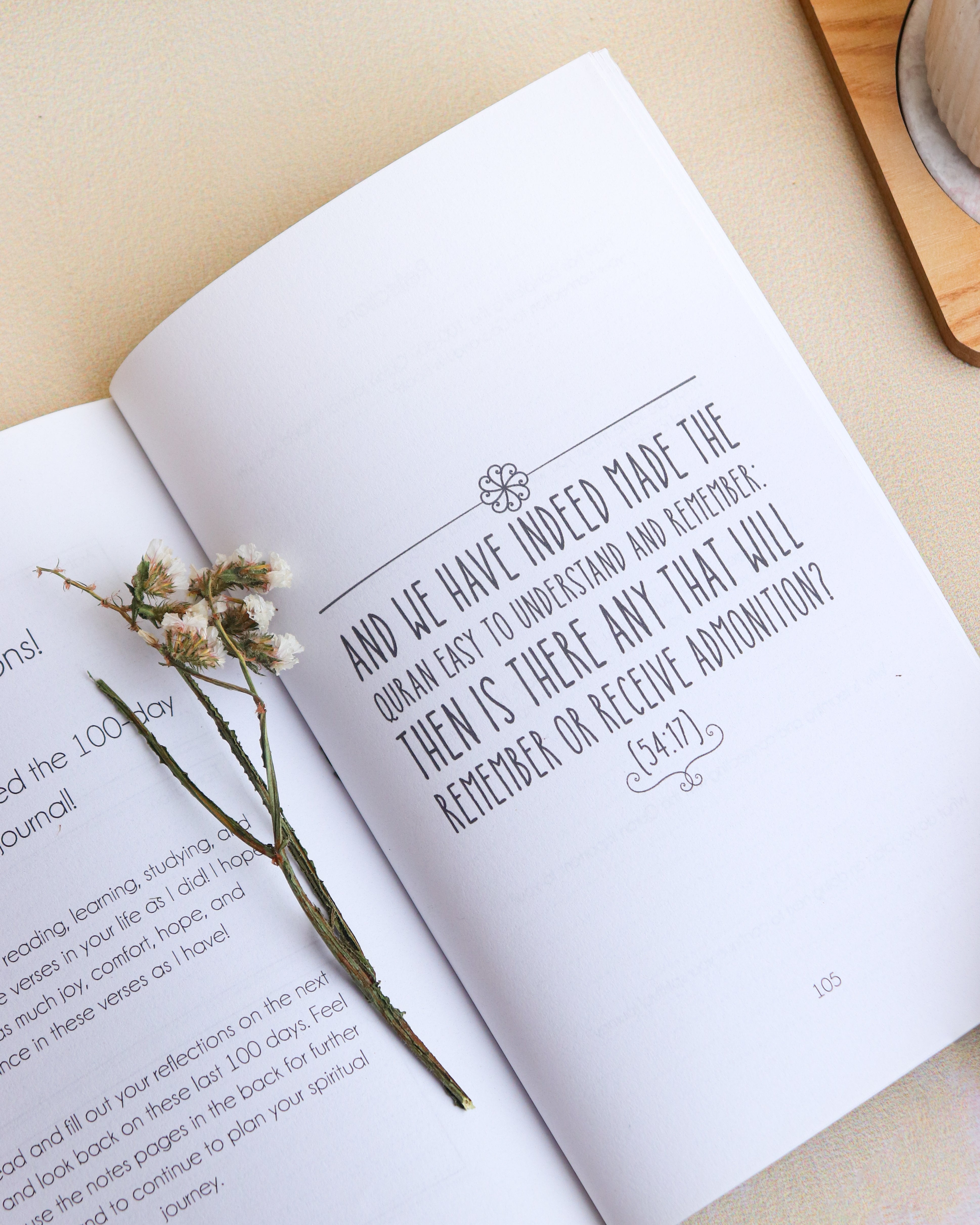 My 100-Day Quran Journal
