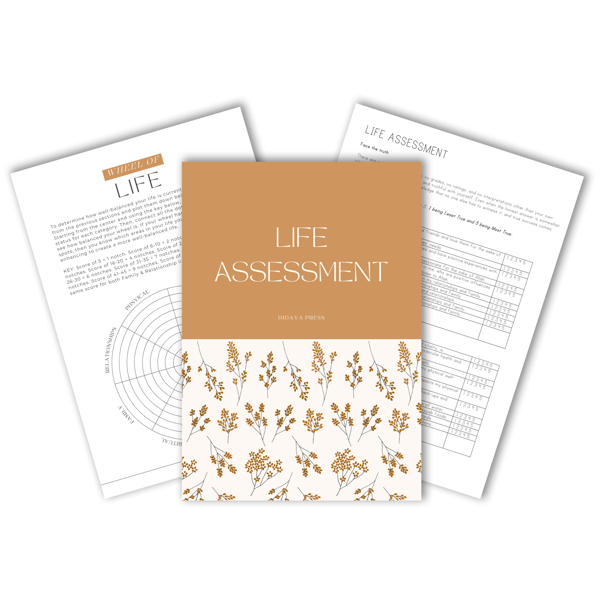 Life Assessment
