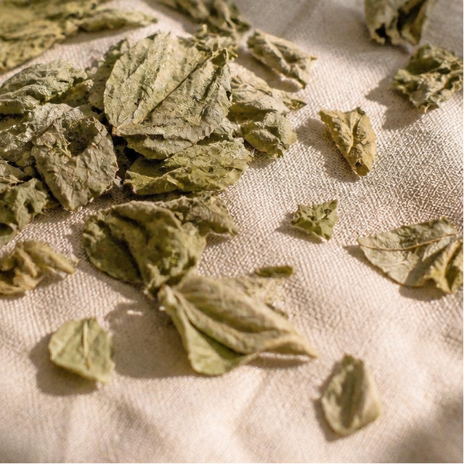 SS - Product ingredien AI Image 1